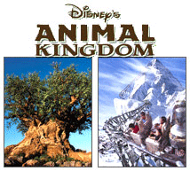 Animal Kingdom at Walt Disney World